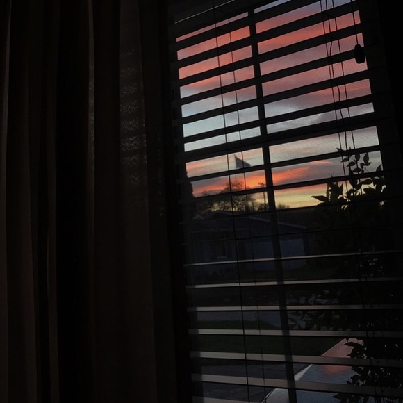 Meet your Posher, Veronica - Picture 1 of 1